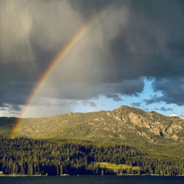 Turning Empires to Kingdoms